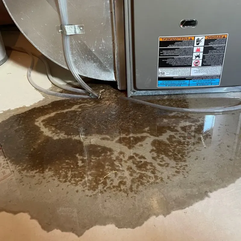 Pipe Burst and Leak Restoration in Independence, MO