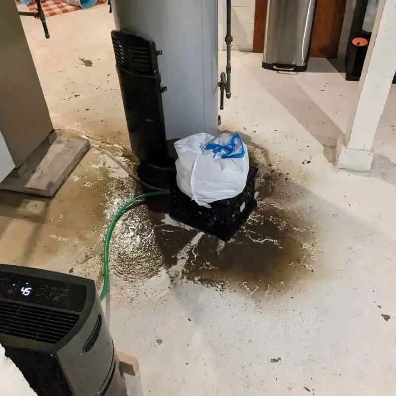 Sewage Backup Cleanup Service in Independence, MO